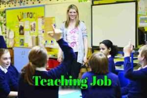 Private Teaching Job inSitapur