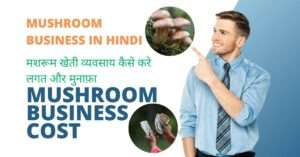 Mushroom Business in Hindi